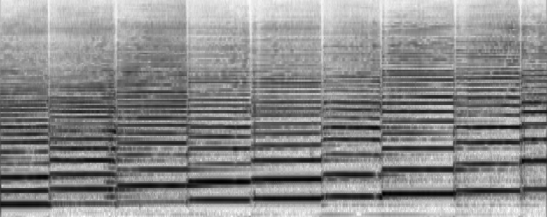 Spettrogramma audio di uno strumento musicale
